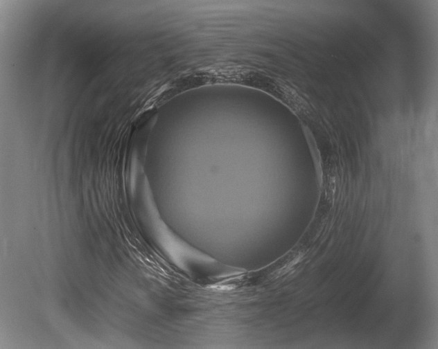 X0000080661010200612221045