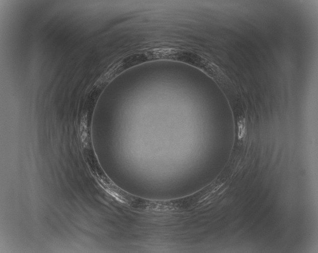 X0000080661011200612221045