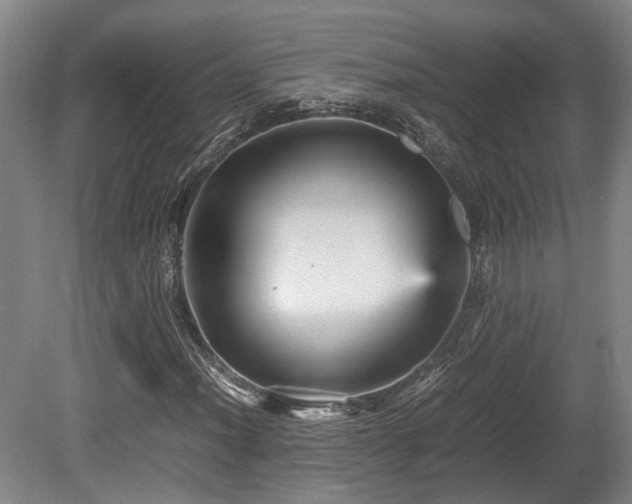 X0000080661012200612221045