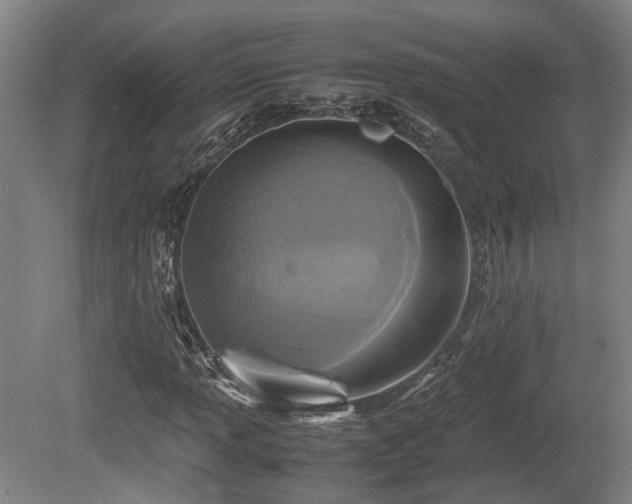 X0000080661013200612221045