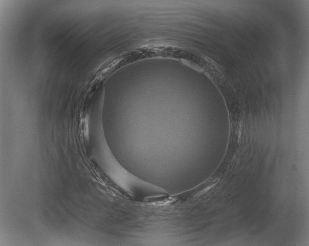 X0000080661014200612221045