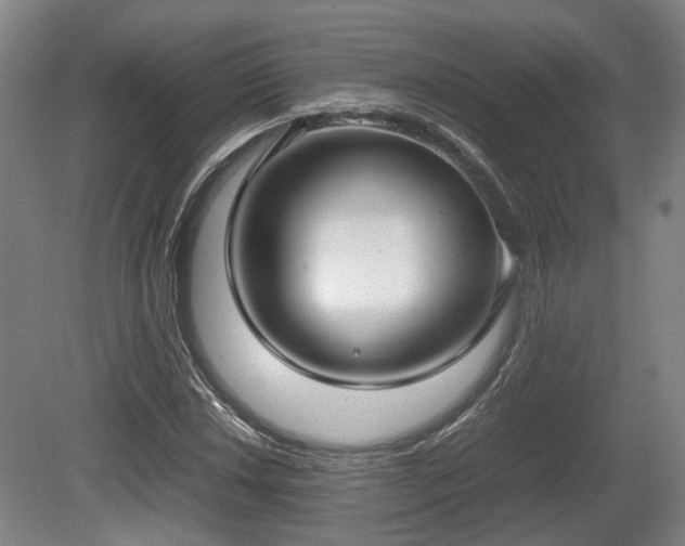 X0000080661018200612221045