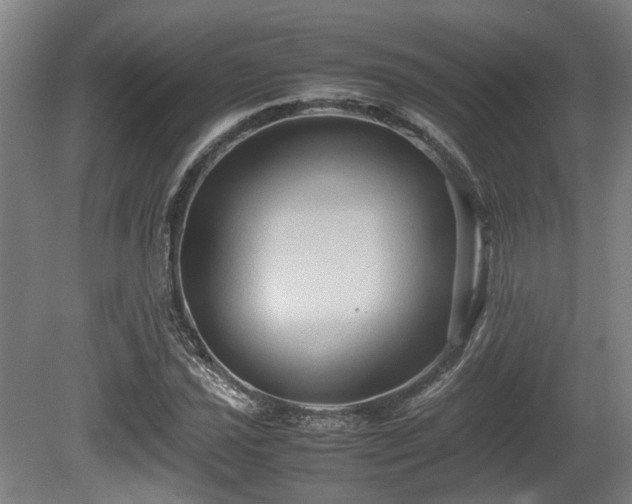 X0000080661021200612221045