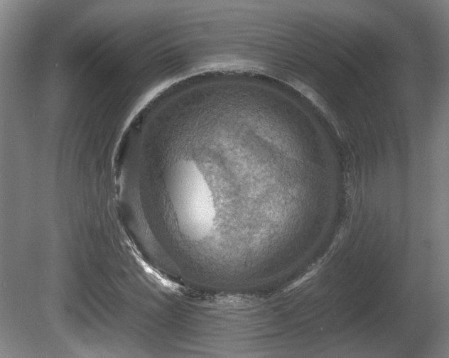X0000080661022200612221045