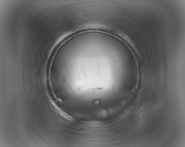 X0000080661024200612221045