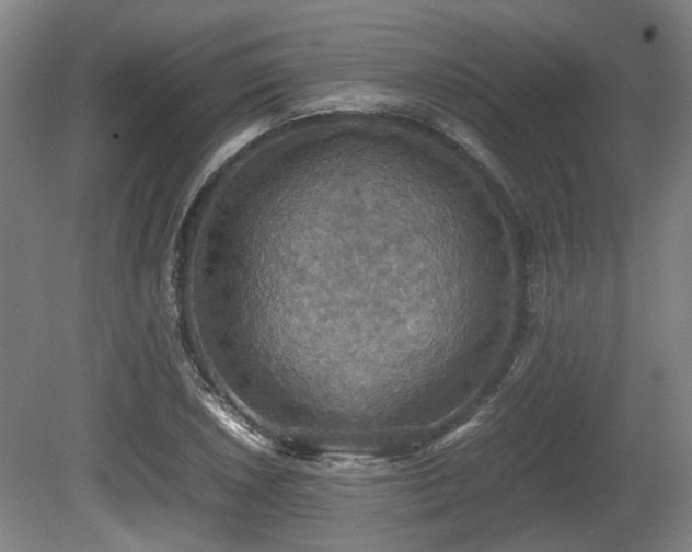 X0000080661026200612221045