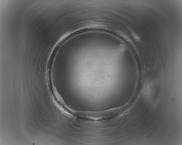 X0000080661029200612221045