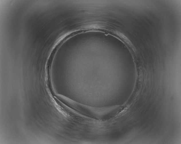 X0000080661031200612221045
