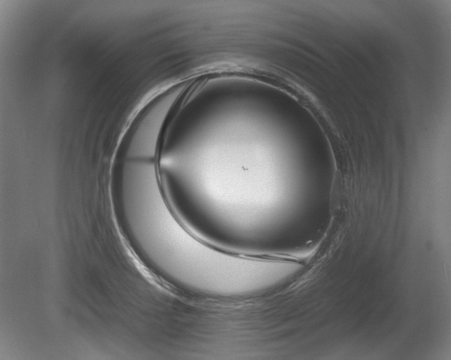 X0000080661034200612221046