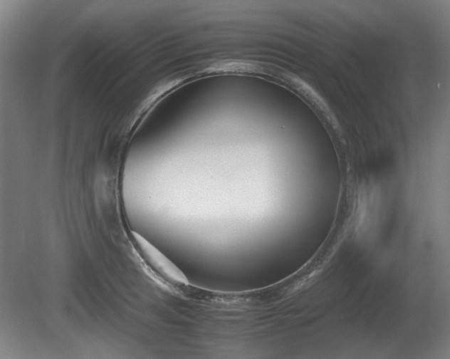 X0000080661041200612221046