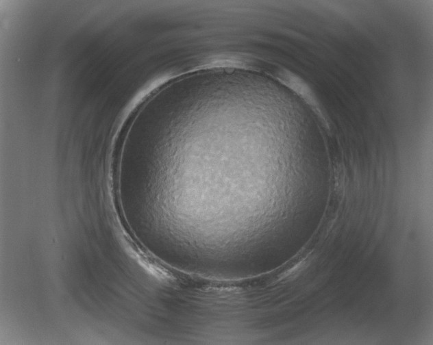 X0000080661043200612221046
