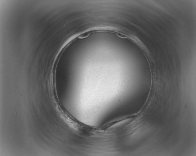 X0000080661044200612221046