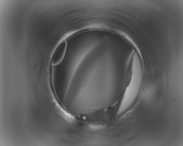 X0000080661045200612221046