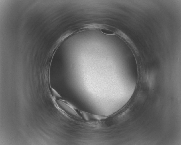 X0000080661049200612221046