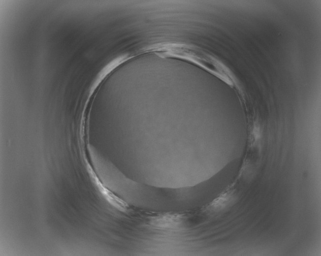 X0000080661050200612221046