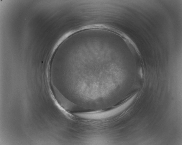 X0000080661054200612221046