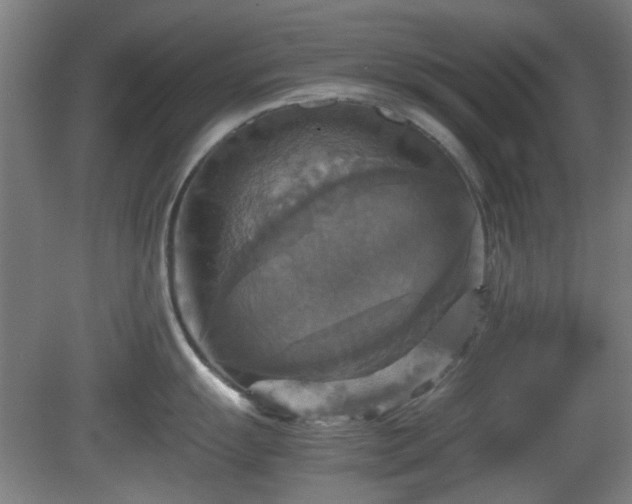 X0000080661055200612221046