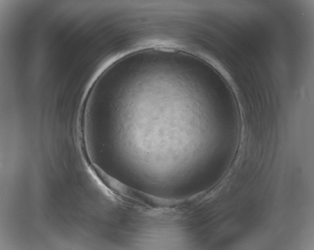 X0000080661056200612221046