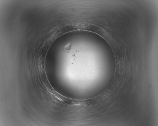 X0000080661058200612221045