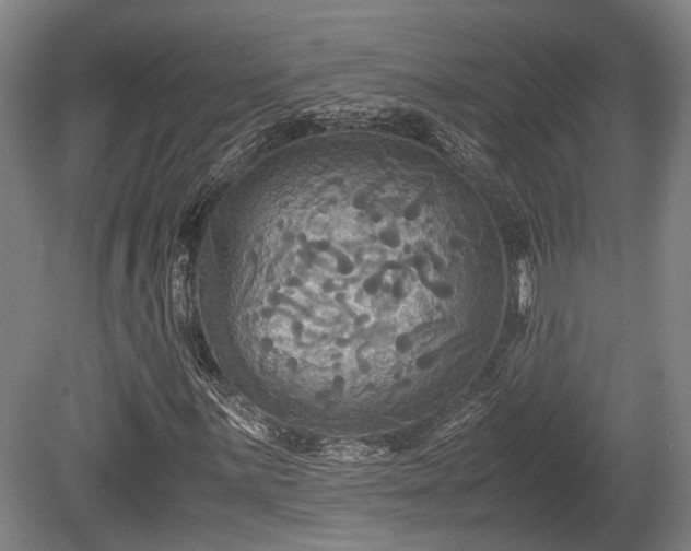 X0000080661059200612221045