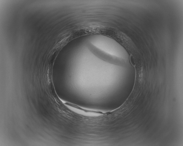 X0000080661060200612221045