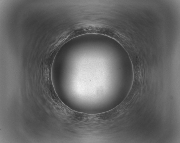 X0000080661061200612221045