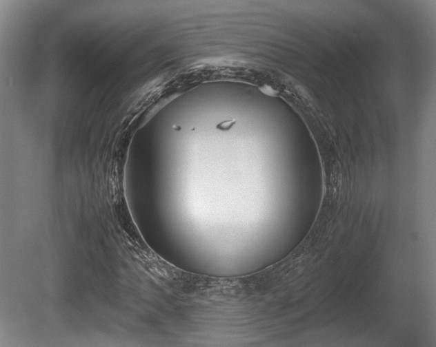 X0000080661062200612221045