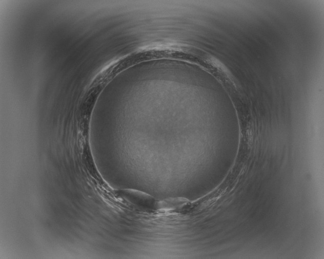 X0000080661064200612221045