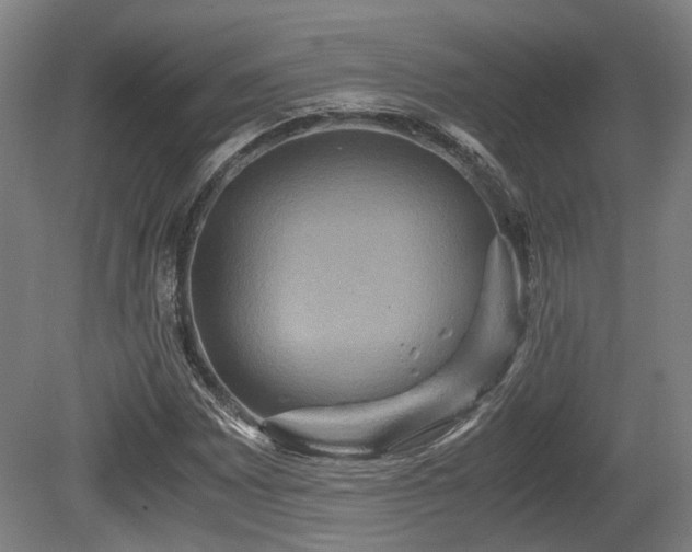 X0000080661065200612221045