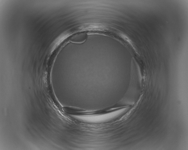 X0000080661066200612221045