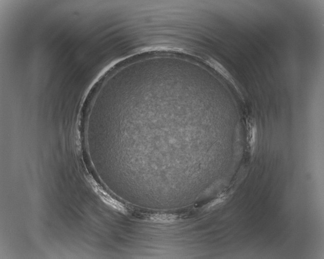 X0000080661068200612221045