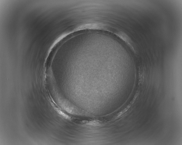 X0000080661070200612221045