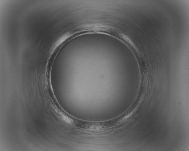 X0000080661071200612221045
