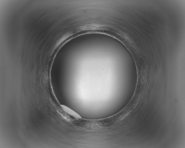 X0000080661073200612221045