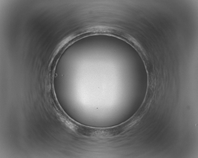 X0000080661075200612221045