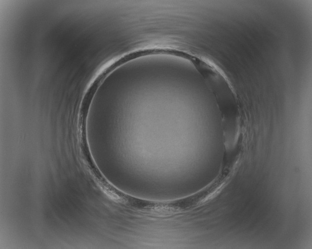 X0000080661077200612221045