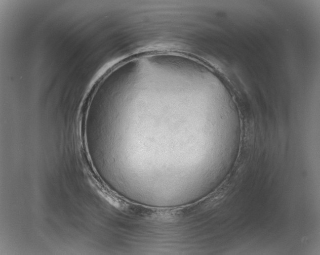 X0000080661078200612221045