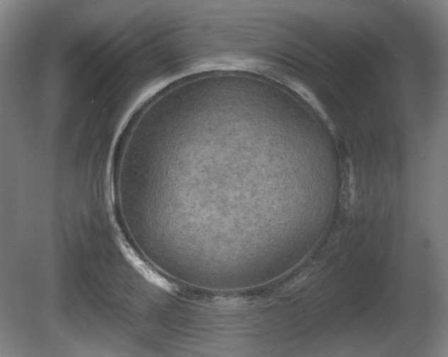 X0000080661080200612221045