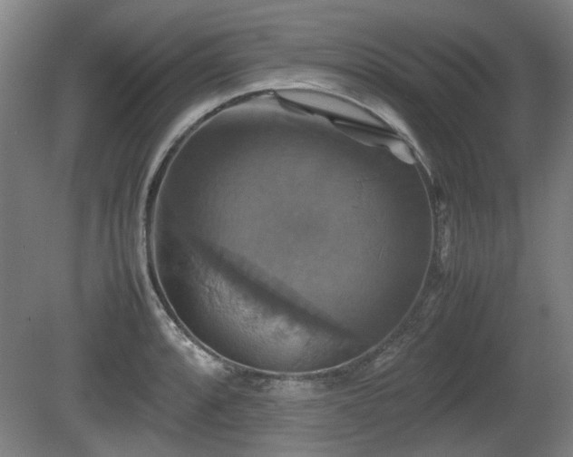 X0000080661088200612221045