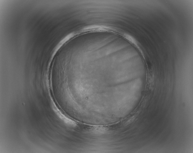 X0000080661090200612221045