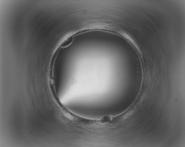 X0000080661093200612221044