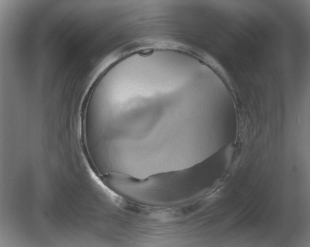 X0000080661095200612221044