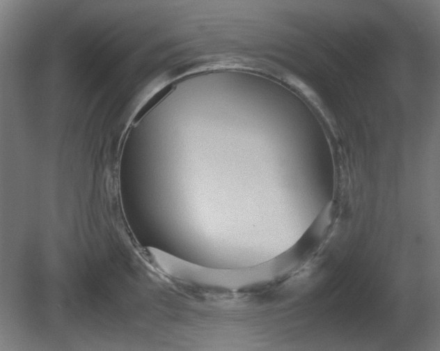 X0000080661097200612221044