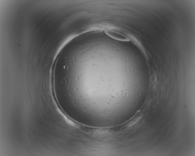 X0000080661103200612221044