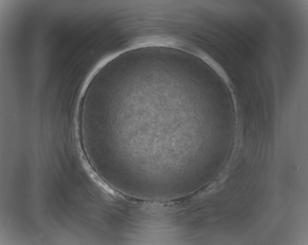 X0000080661104200612221044
