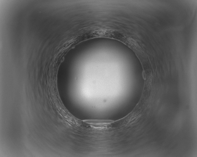 X0000080661105200612221043