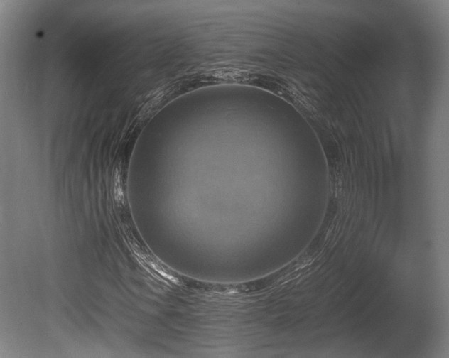 X0000080661106200612221044