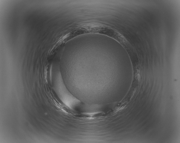X0000080661108200612221044