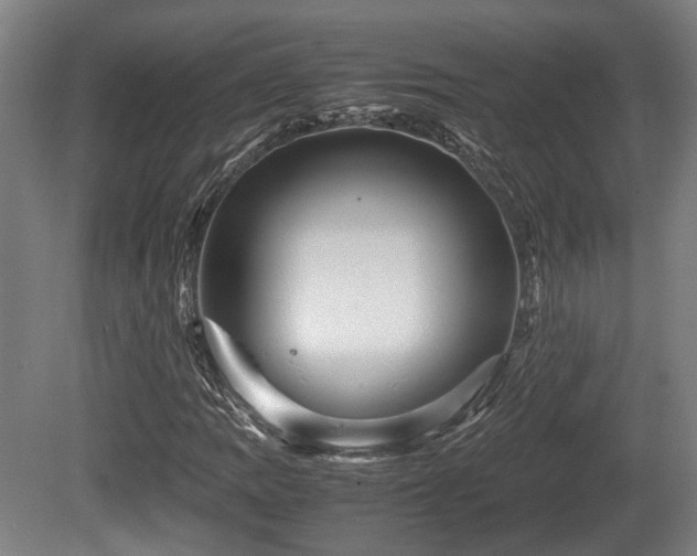 X0000080661109200612221044