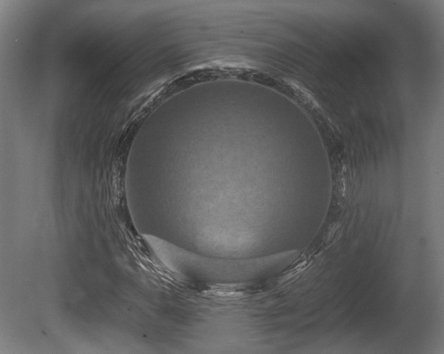 X0000080661110200612221044